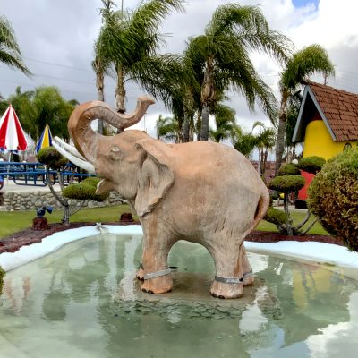 Elephant SQ 2088x2088